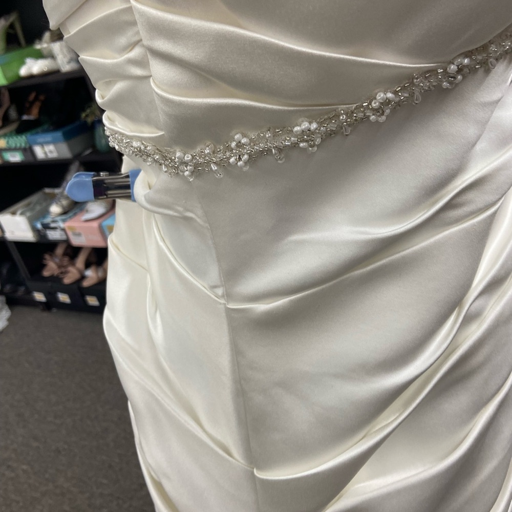 David's Bridal Elegant Cream Wedding Dress - Picture 15 of 16